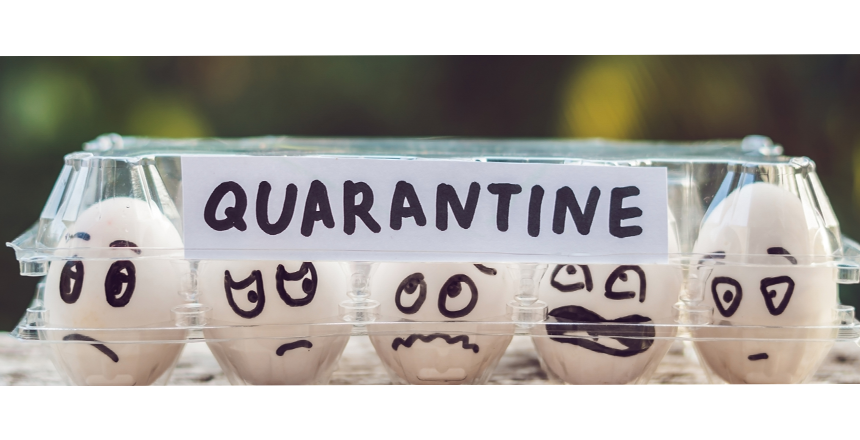 Items For Self Quarantining At Home - Spatty